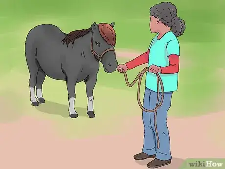 Image titled "Play" with Your Horse_Pony Step 1